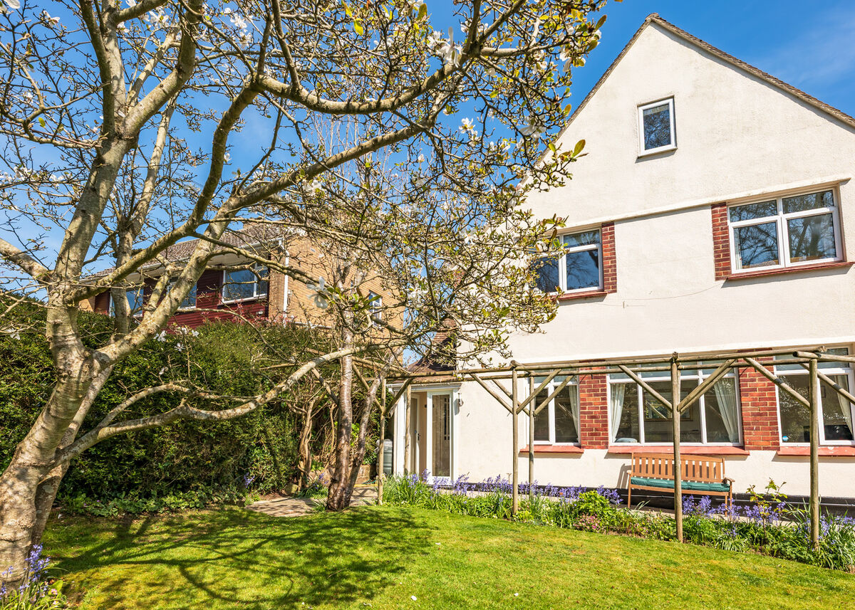 Front Garden Blossom Tree