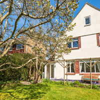 Front Garden Blossom Tree