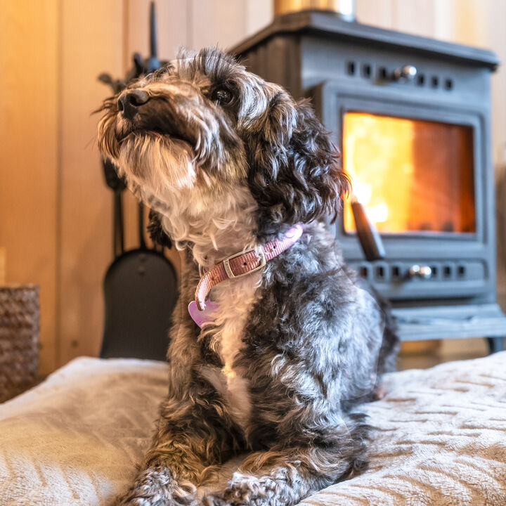 Wood burner 