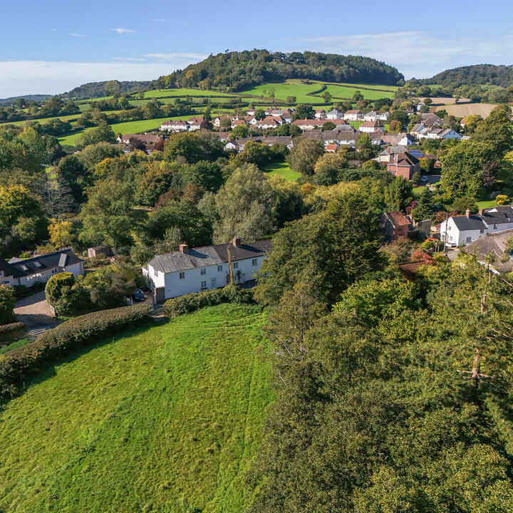 Little Buckley from a high