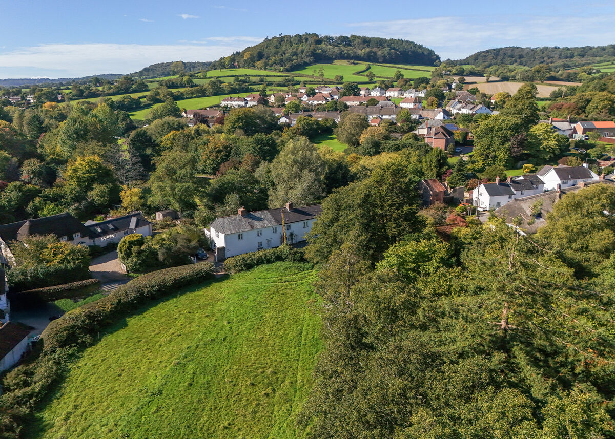 Little Buckley from a high