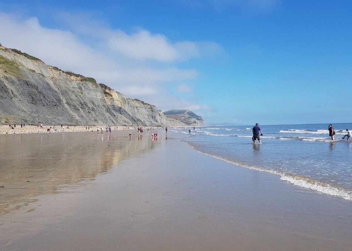 PSH_Mill-View (3).jpeg