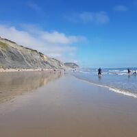 PSH_Mill-View (3).jpeg