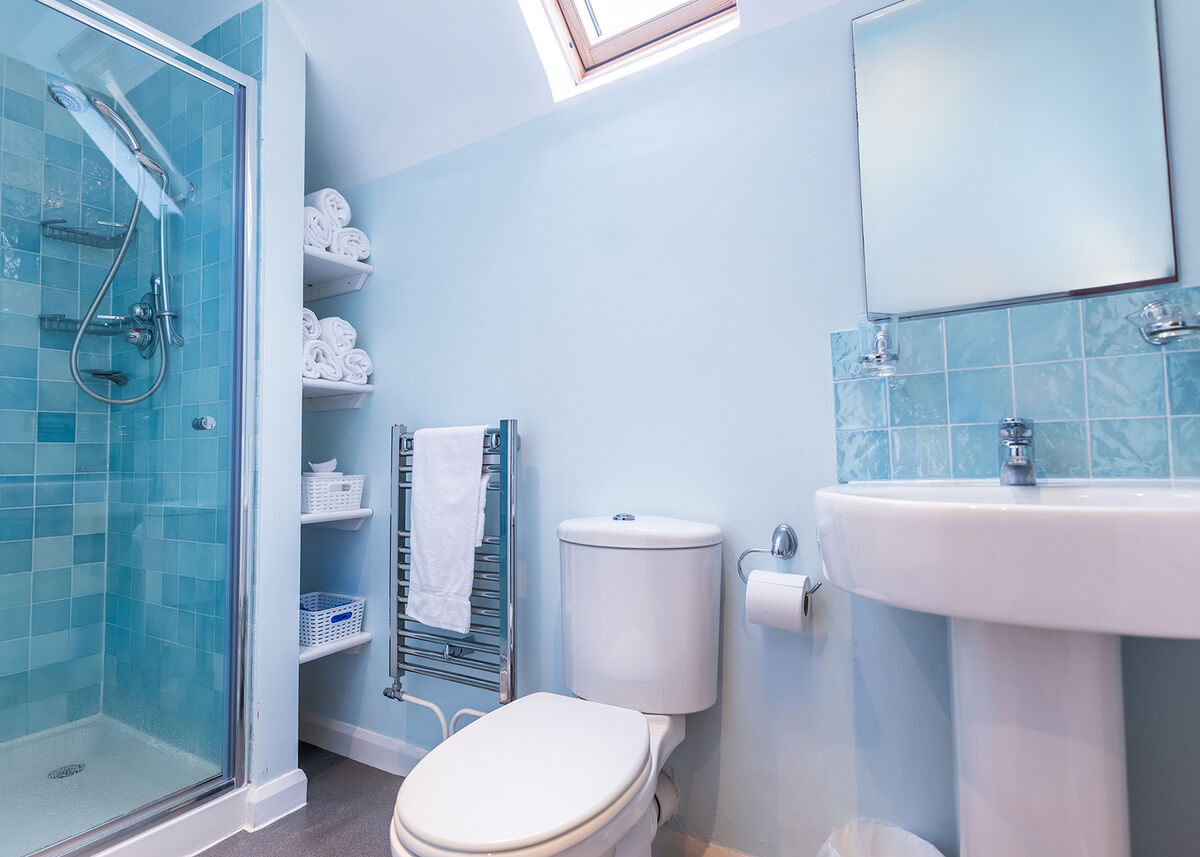 Shower Room Seaton.jpg