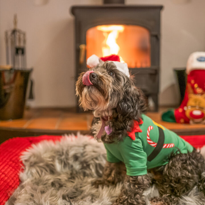 LB_Christmas_Steve Bamford Property-340.jpg