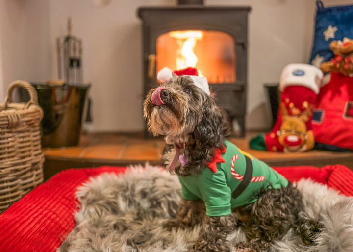 LB_Christmas_Steve Bamford Property-340.jpg