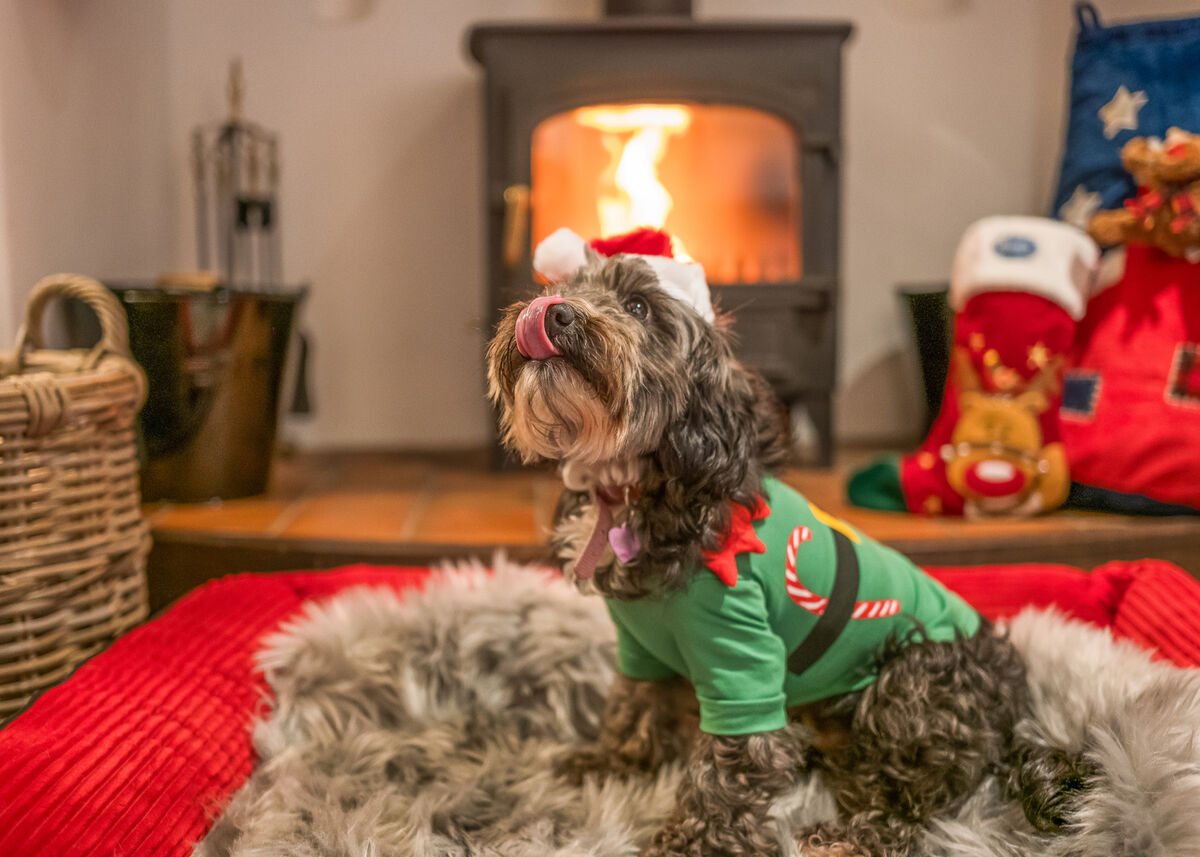 LB_Christmas_Steve Bamford Property-340.jpg